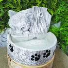 Fonte De Água Bebedouro Para Pet 01081