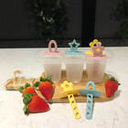 Forma De Picolé 6 Palitos Sorvete Picoleteira Geladinho Sanre