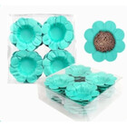 Forma Margarida C/40 - Plac