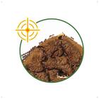 Formicida Forth Mata No Ninho 500ml Pronto Para Uso