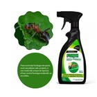 Formicida Forth Mata No Ninho 500ml Pronto Para Uso