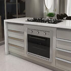 Forno Elétrico De Embutir Nardelli 60 Litros Preto/inox - 127