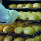 Forno Turbo Elétrico Profissional Padarias Epóxi Para 5 Estei