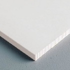 Forro De Gesso Removivel Com Pelicula Pvc Fgr 625 X 625 X 9,5