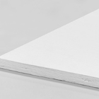 Forro De Lã De Vidro Silentis Branco 1250 X 625 X 15 Mm Em Ca