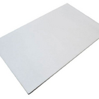 Forro Isopor Sem Textura Esp. 40mm 1243 X 618 Mm C/ 12 Pçs -