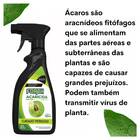 Forth Acaricida Pronto Uso (500ml) Forth Jardim