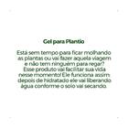 Forth Gel Para Plantio 2kg Reg Sp0032042000074 Cra 1300% Ctc