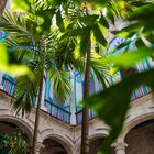 Forth Palmeiras 10kg  Reg Sp0032042000011 N10%p2o55%k2o10%ca2