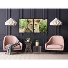 Fotografia Artistica Profissional Animais Leoa 2 De 65cmx65cm