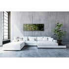 Fotografia Artistica Profissional Natureza Mata 3 De 65cmx65cm