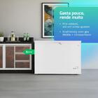 Freezer E Conservador Horizontal Hq 300 Litros Branco Bd-300q