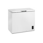 Freezer Horizontal Electrolux 245l Inverter Bivolt Uma Porta