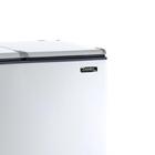 Freezer Horizontal Esmaltec 2 Porta 325 Litros Ech350