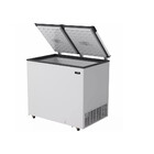 Freezer Horizontal Esmaltec 2 Porta 325 Litros Ech350