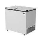 Freezer Horizontal Esmaltec 2 Porta 325 Litros Ech350