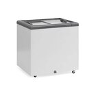 Freezer Horizontal Ghd-200/cz/127v 60hz Branco
