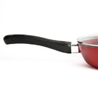 Frigideira Rubi Gourmet Teflon Antiaderente Javali Cb 24cm