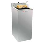 Fritadeira Fritador Tacho Fritura Gabinete Batata Elétrica 23