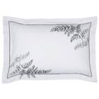 Fronha Avulsa Lazio Felce Kacyumara