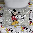 Fronha Avulsa Portallar Malha Estampa Localizada Disney Micke