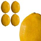 Fruta Limão Artificial 4 Unidades Para Arranjos De Mesa Com A