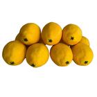 Fruta Limão Artificial Realista 18 Unidades Para Ambiente Cin