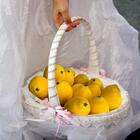 Fruta Limão Artificial Realista 18 Unidades Para Ambiente Cin