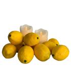 Fruta Limão Artificial Realista 18 Unidades Para Ambiente Cin