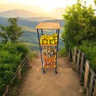 Fruteira De Chão Com Rodinhas  Ferro E Madeira Maciça 3 Andar