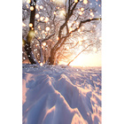 Fundo Fotográfico Backdrop Árvores Natal 2.2x1.5mp1767