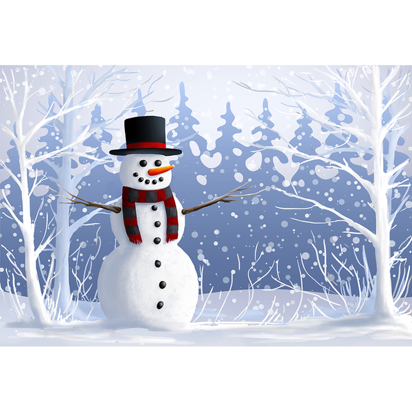 Fundo Fotográfico Infantil Boneco De Neve Natal 2.2x1.5mp1733