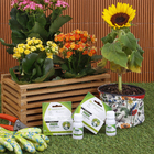 Fungicida Concentrado 30ml Forth