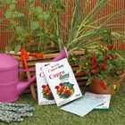 Fungicida Cupro 30g Dimy