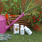 Fungicida Cupro 60ml Dimy