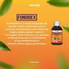 Fungicida Fungidex 50ml