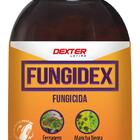 Fungicida Fungidex 50ml