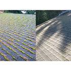 Fungo e Musgo Attack 1LT - Performance