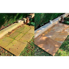 Fungo e Musgo Attack 5LT - Performance