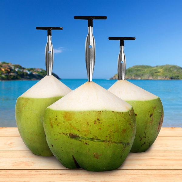 Furador De Coco 16cm Descomplica | Leroy Merlin