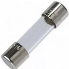 Fusível De Vidro 100 Unidades