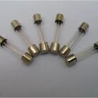 Fusível De Vidro 100 Unidades