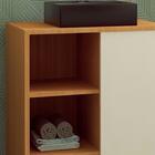 Gabinete 1 Porta Correr 60 Cm Cuba Preta Bl7250 Faem