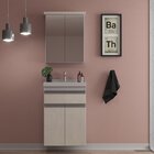 Gabinete De Banheiro 50cm Com Lavatório E Armário Ref 501 Bra