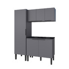 Gabinete 2 portas Tanque DP Cisne Cinza