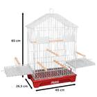 Gaiola Citrino Duplex Com Poleiros Para Calopsita Quatiguá -
