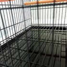 Gaiola Exposição Para Canário Comedouro Meia Lua Quatiguá - P