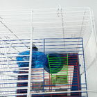 Gaiola Hamster Home 2 Andares Com Rodinha Quatiguá - Vermelho