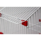 Gaiola Malha Fina Para Periquito Travas Plásticas - Branco Ve