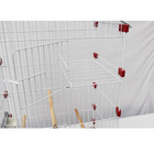 Gaiola Malha Fina Para Periquito Travas Plásticas - Preto Ver